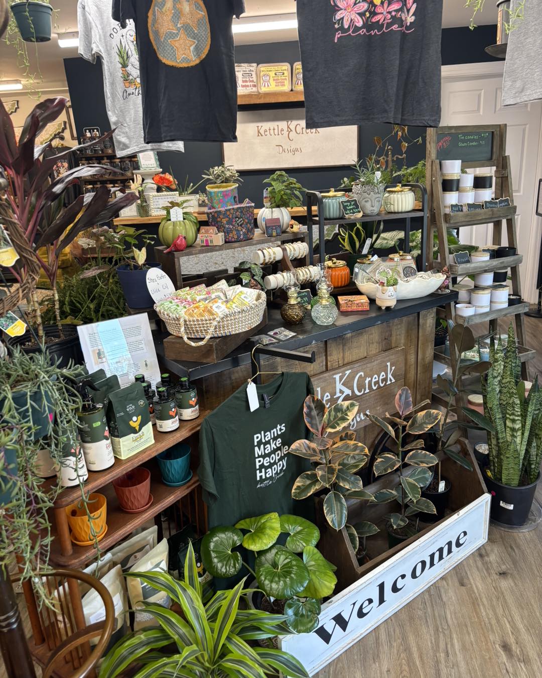 Kettle Creek - houseplants and greenery